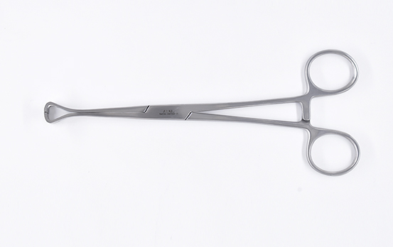 Babcock forceps - 170mm